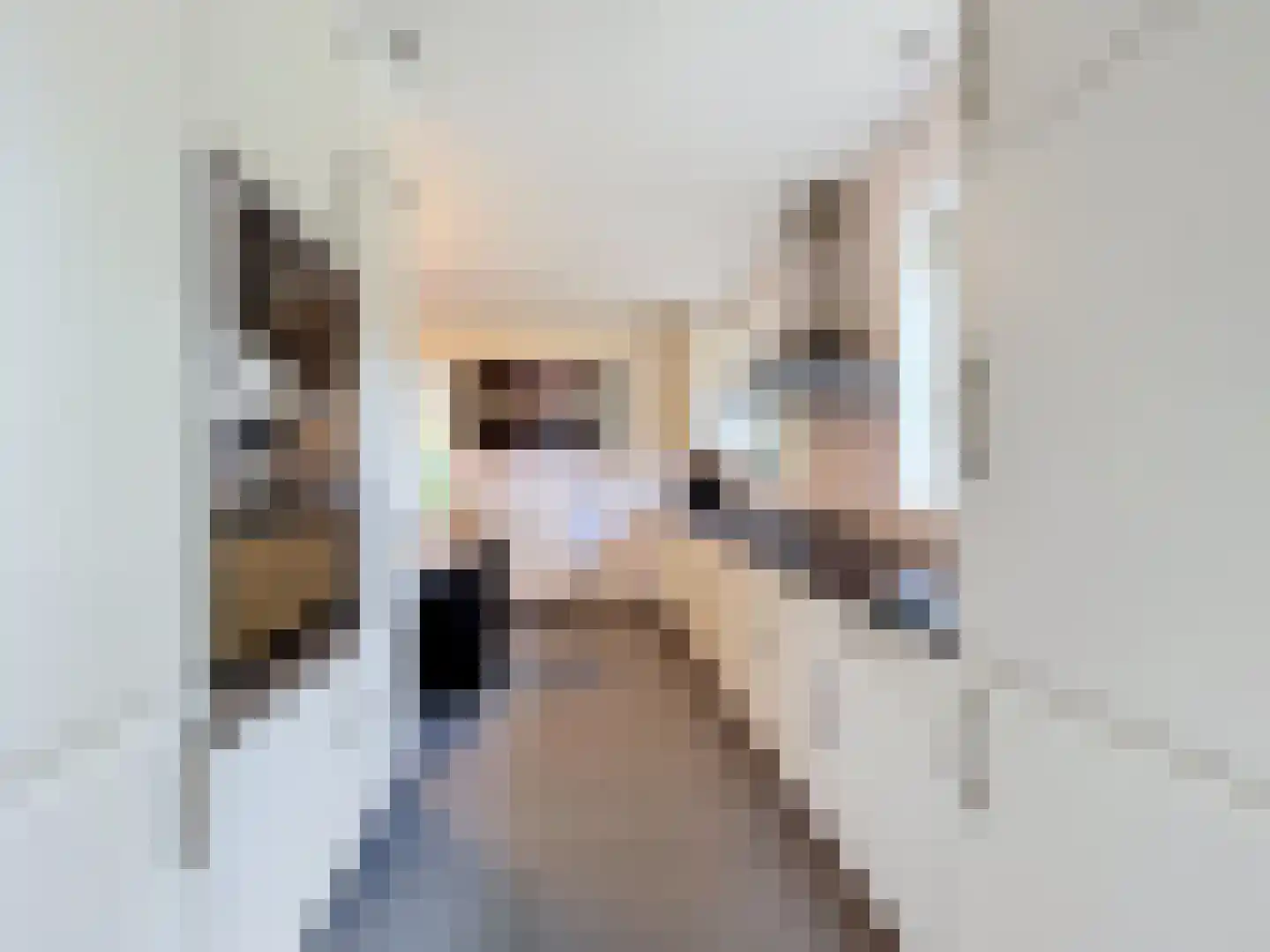 de Lente 8 Breskens thumbnail 13