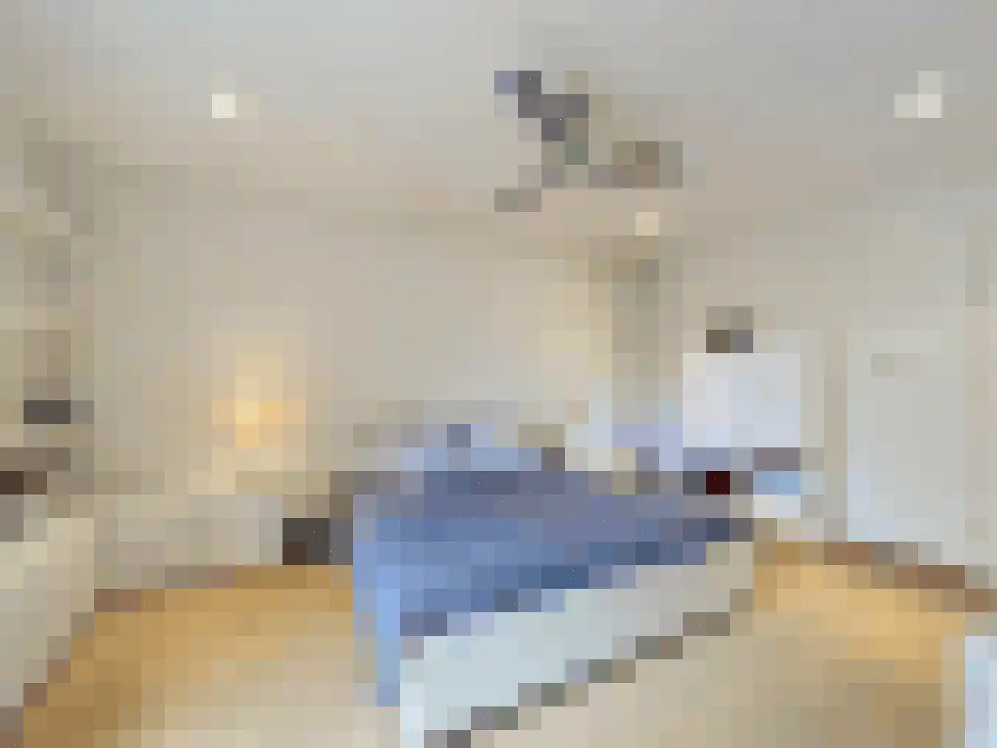 de Lente 8 Breskens thumbnail 16