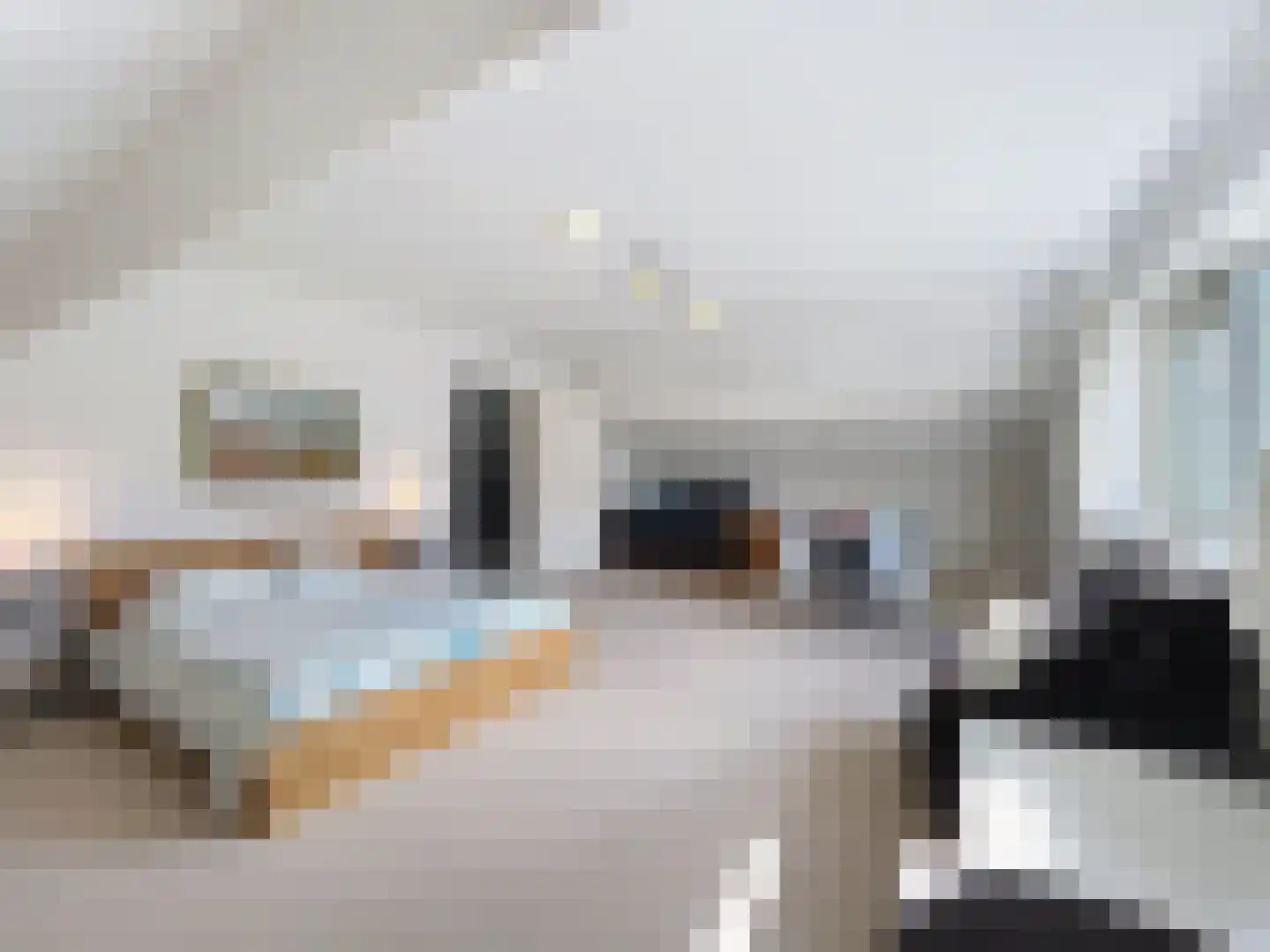 de Lente 8 Breskens thumbnail 24