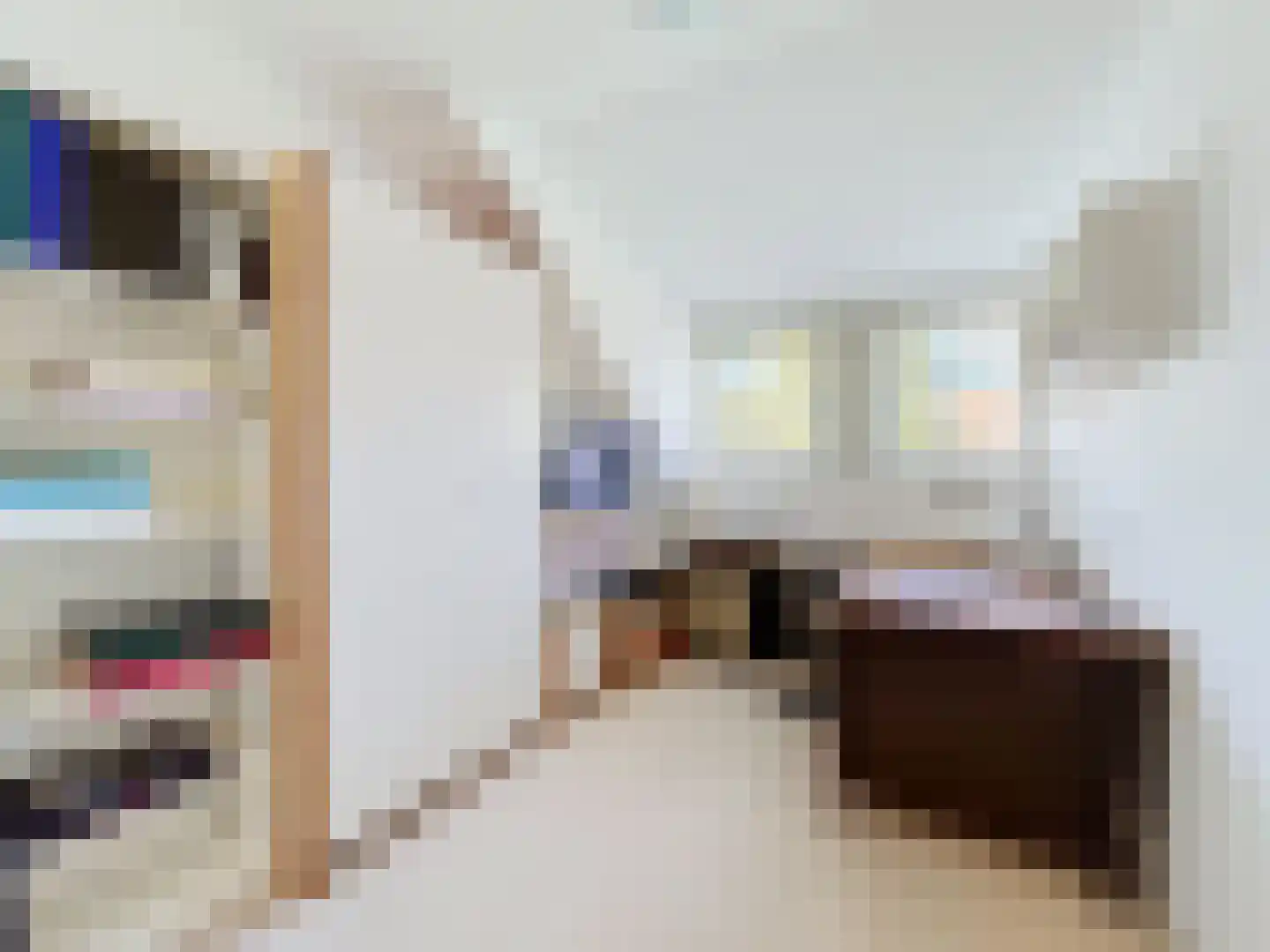de Lente 8 Breskens thumbnail 25
