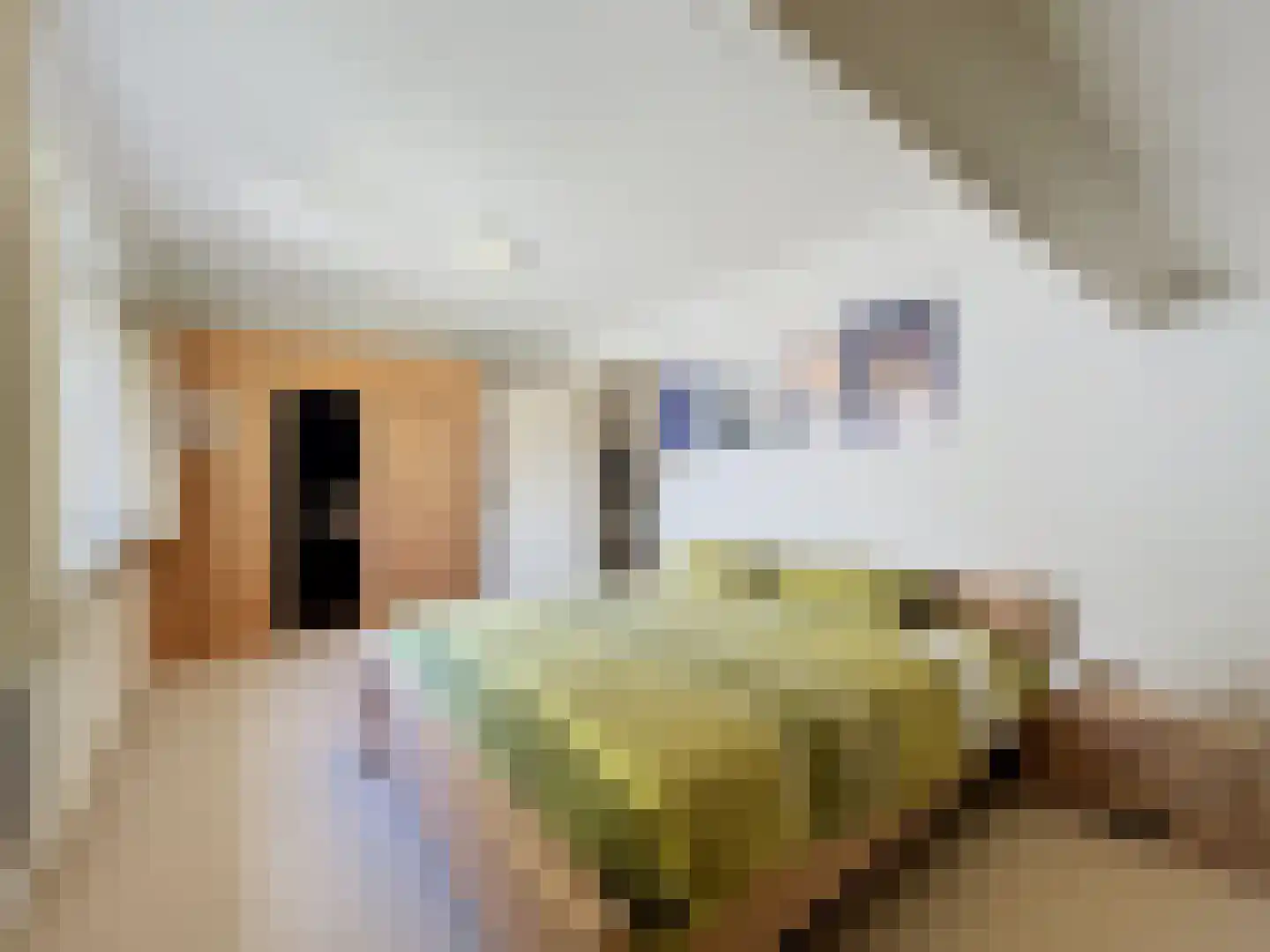 de Lente 8 Breskens thumbnail 30