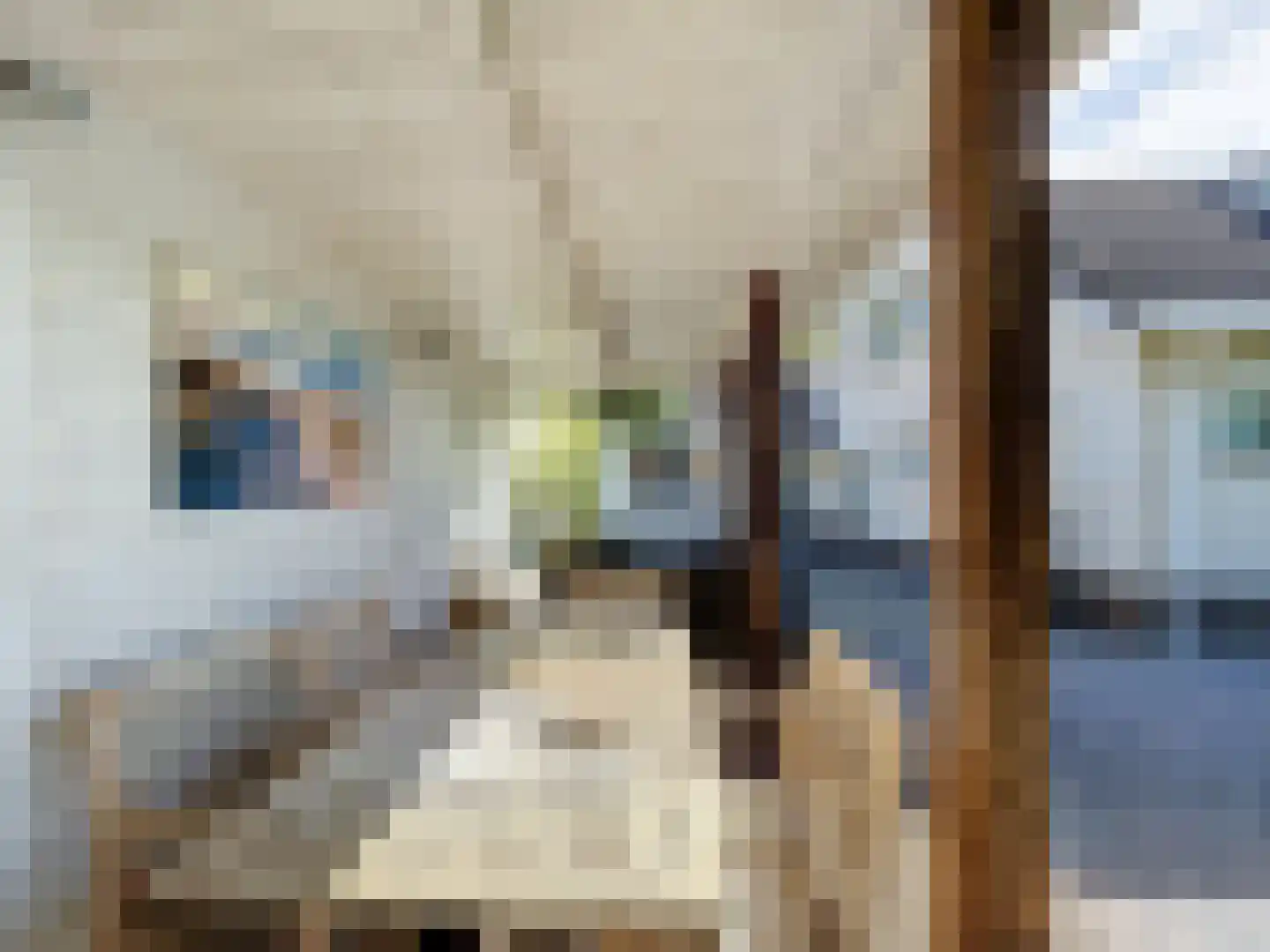 de Lente 8 Breskens thumbnail 37