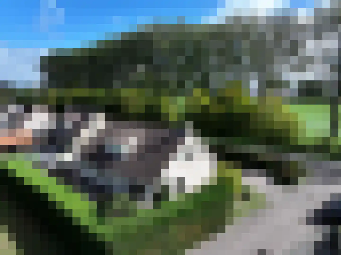 de Lente 8 Breskens thumbnail 40