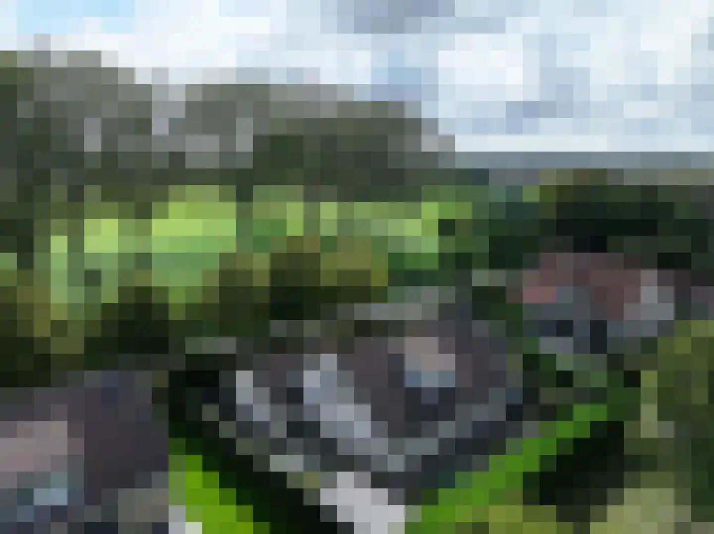 de Lente 8 Breskens thumbnail 41