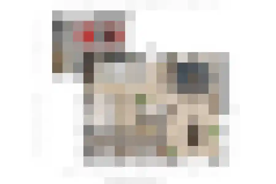 de Lente 8 Breskens thumbnail 42