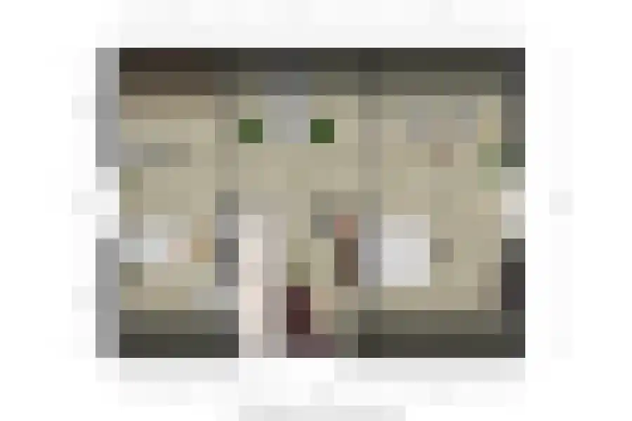 de Lente 8 Breskens thumbnail 43