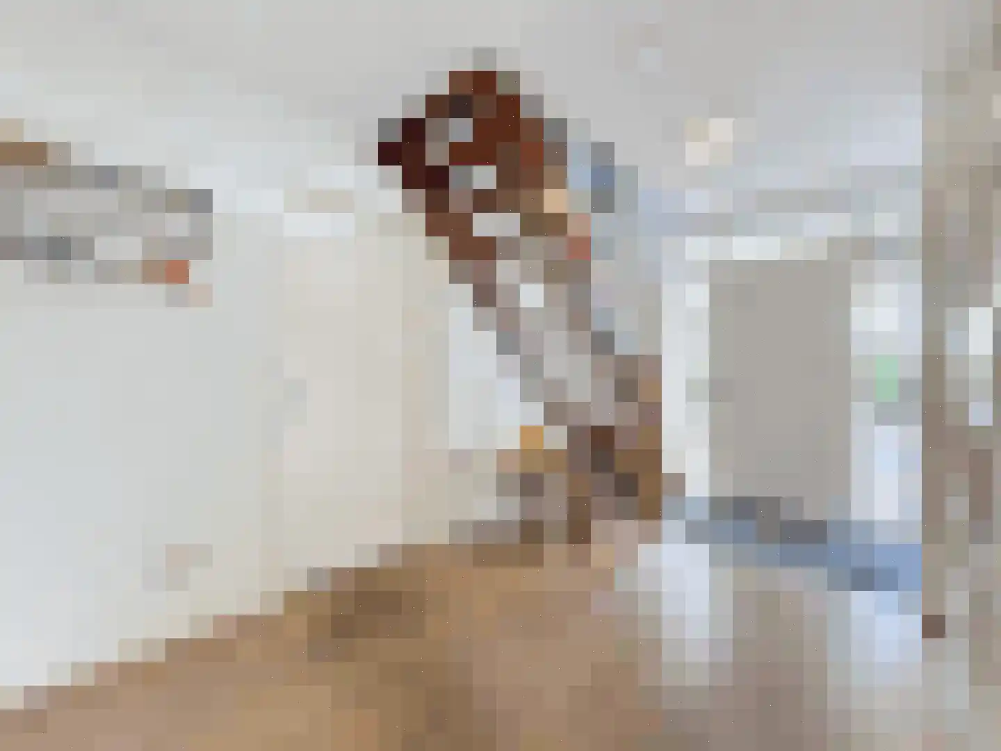 de Lente 8 Breskens thumbnail 5