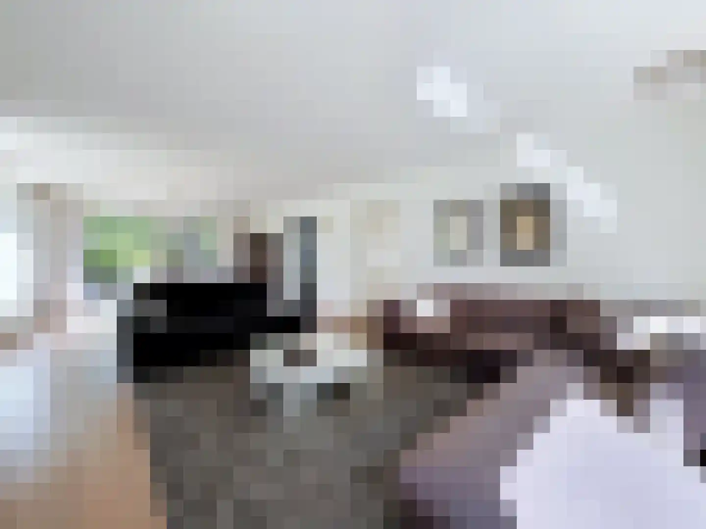 de Lente 8 Breskens thumbnail 8