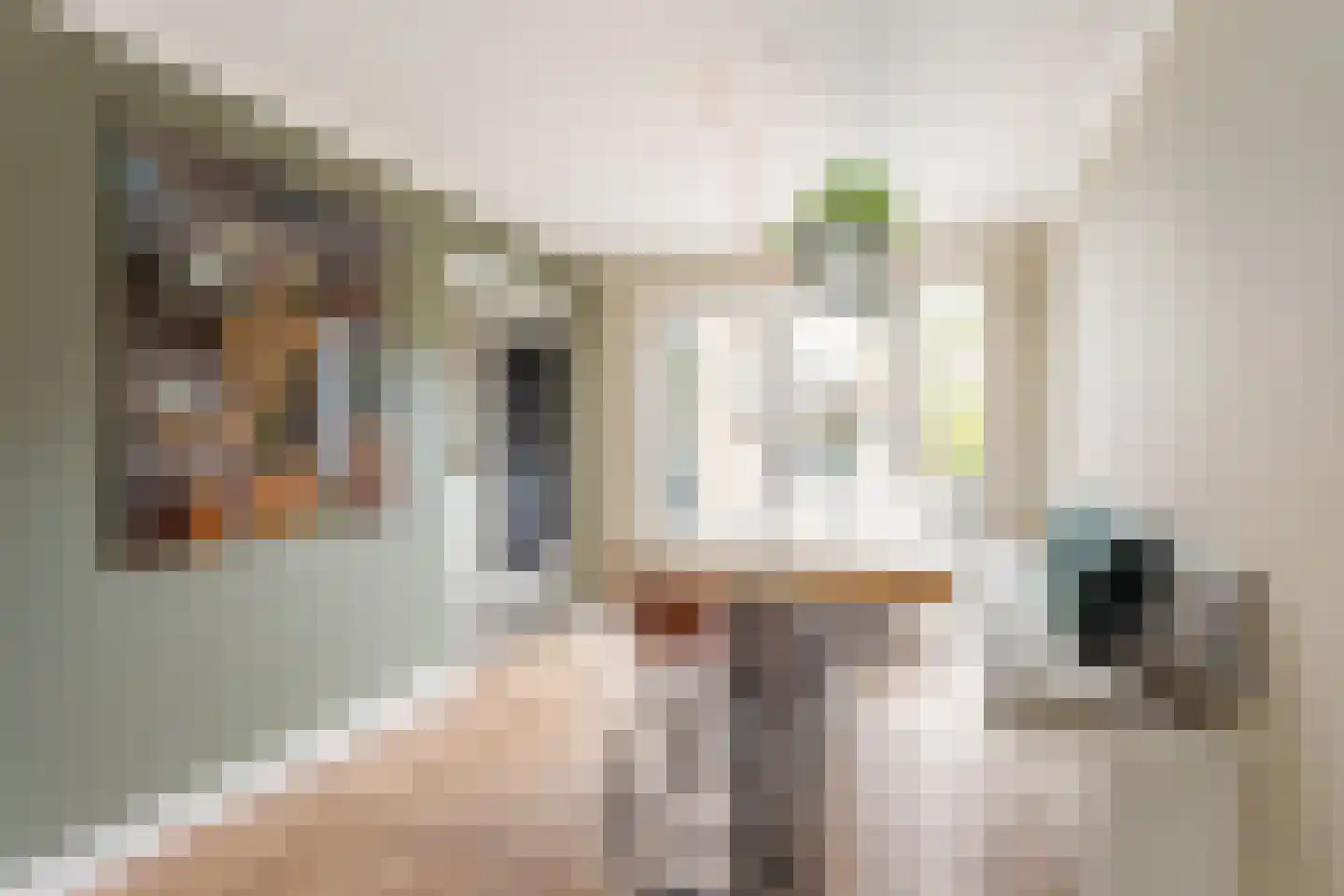 De Lepelaar 13 Almelo thumbnail 10