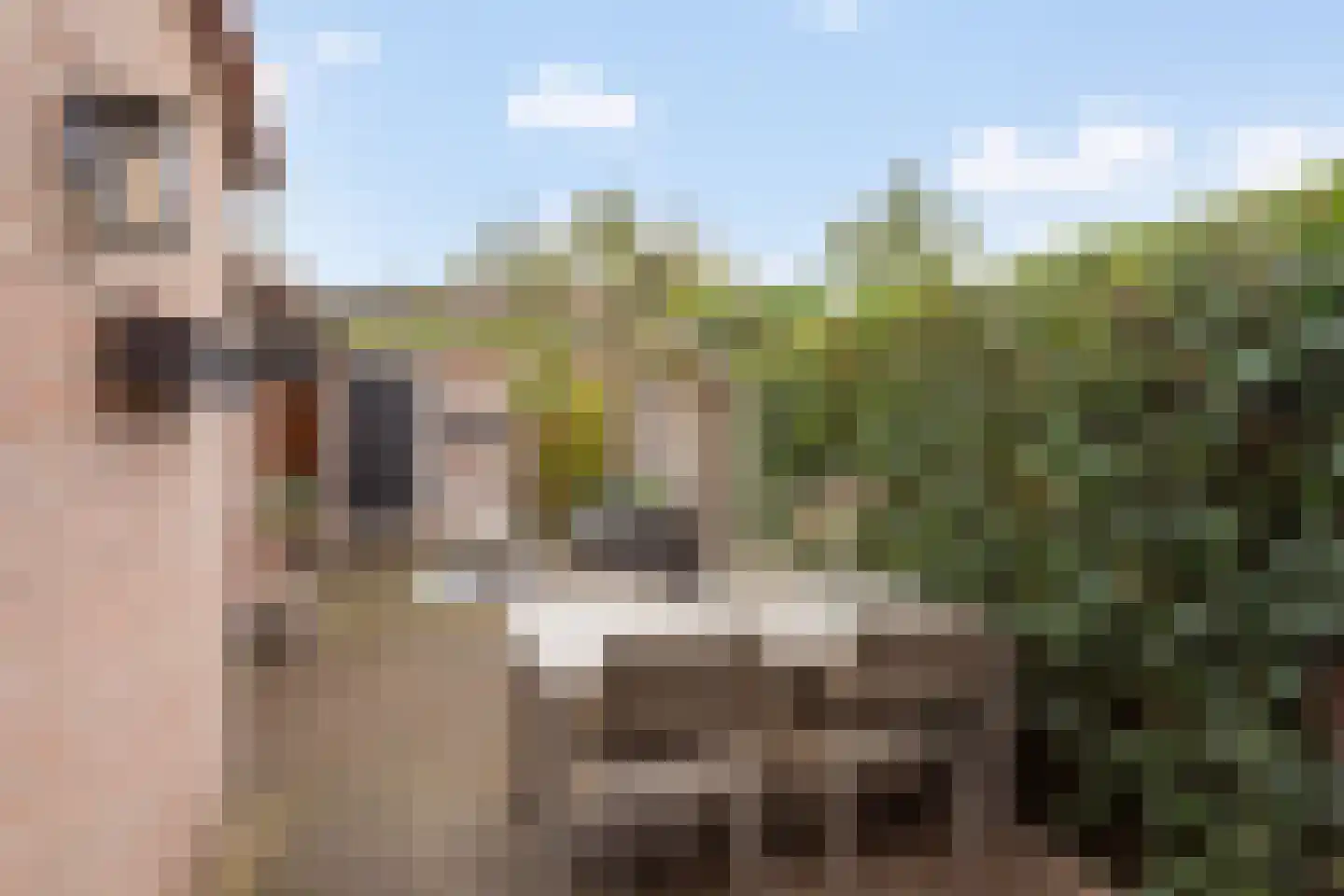 De Lepelaar 13 Almelo thumbnail 18