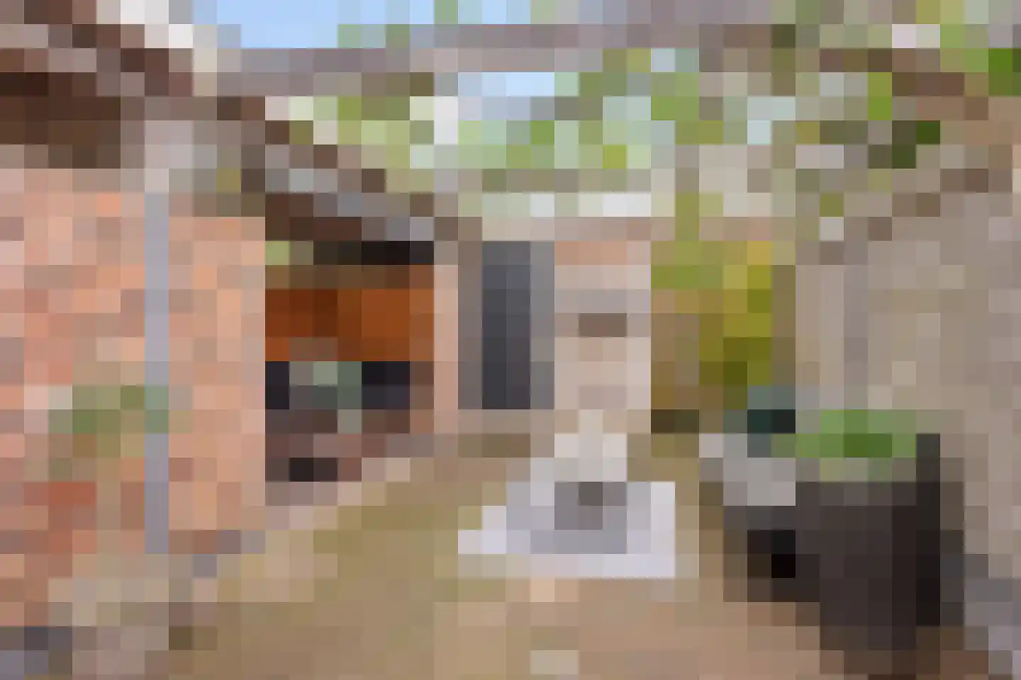 De Lepelaar 13 Almelo thumbnail 19