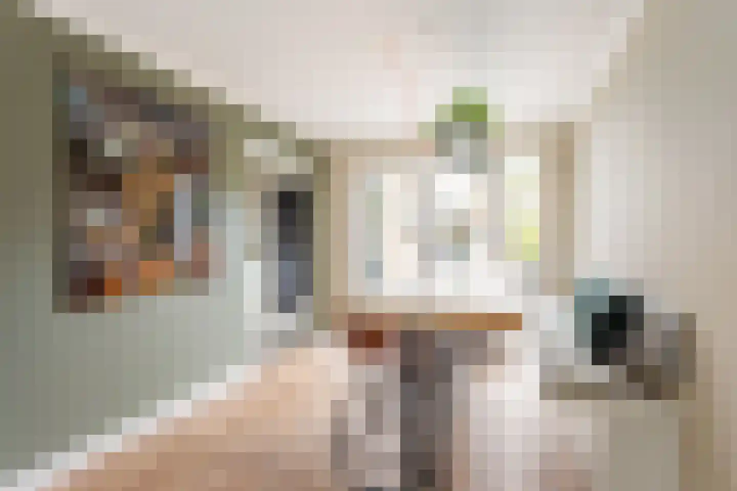 De Lepelaar 13 Almelo thumbnail 4