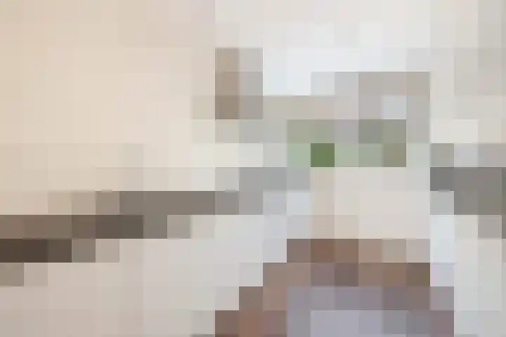 de Lepelaar 14 Moerkapelle thumbnail 11