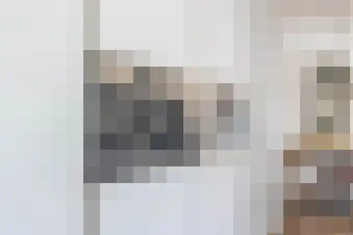 de Lepelaar 14 Moerkapelle thumbnail 15