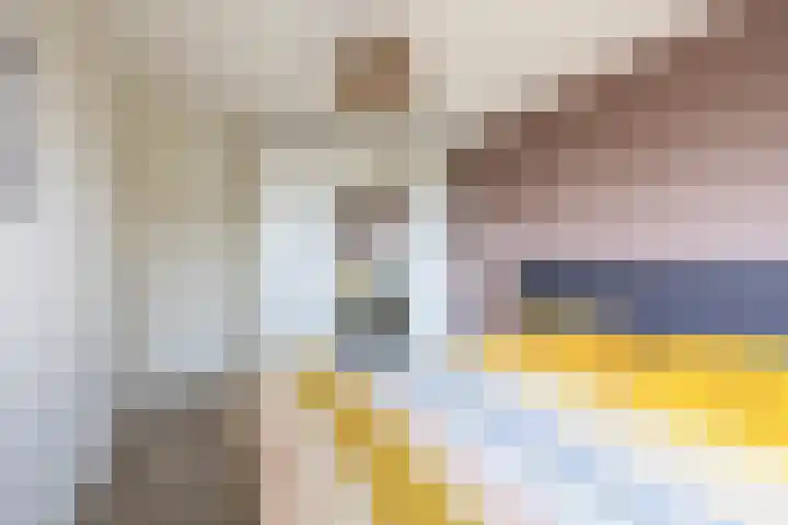 de Lepelaar 14 Moerkapelle thumbnail 17