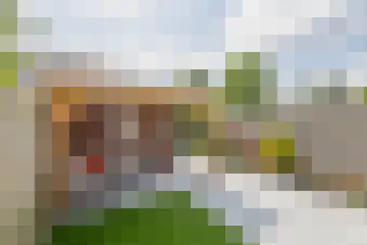 de Lepelaar 14 Moerkapelle thumbnail 34