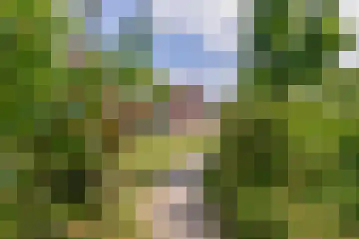 de Lepelaar 14 Moerkapelle thumbnail 37