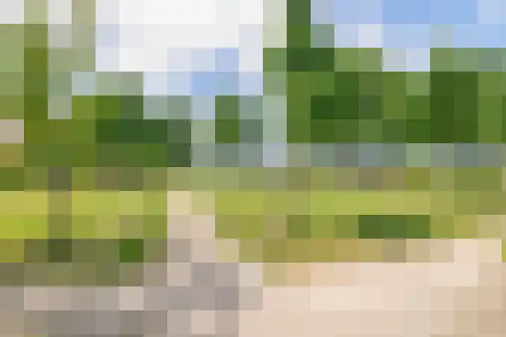 de Lepelaar 14 Moerkapelle thumbnail 38