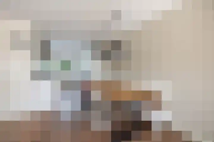 de Lepelaar 14 Moerkapelle thumbnail 9