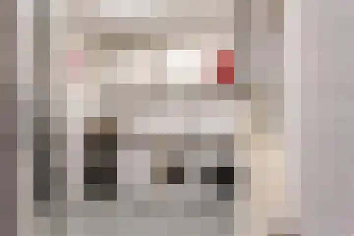 De Lepelaar 16 Elburg thumbnail 16