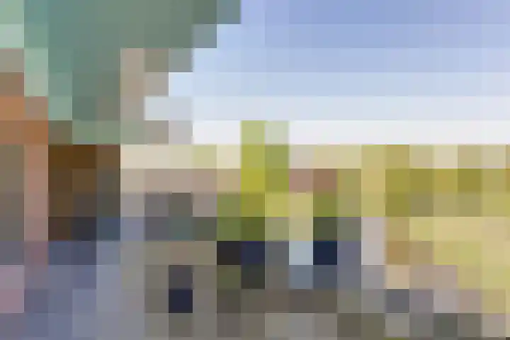 De Lepelaar 16 Elburg thumbnail 39
