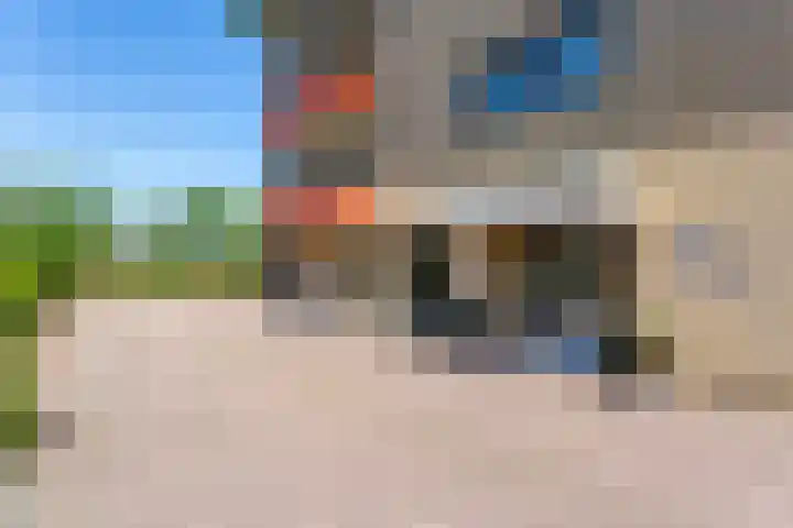 De Lepelaar 16 Elburg thumbnail 4