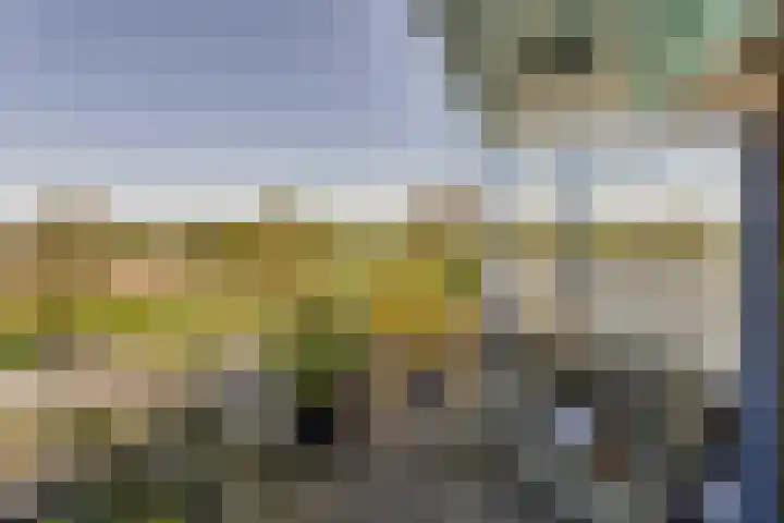 De Lepelaar 16 Elburg thumbnail 40
