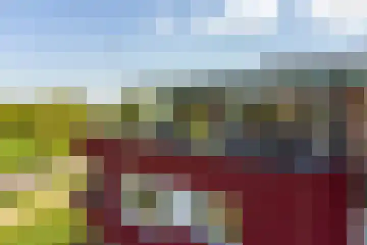 De Lepelaar 16 Elburg thumbnail 41