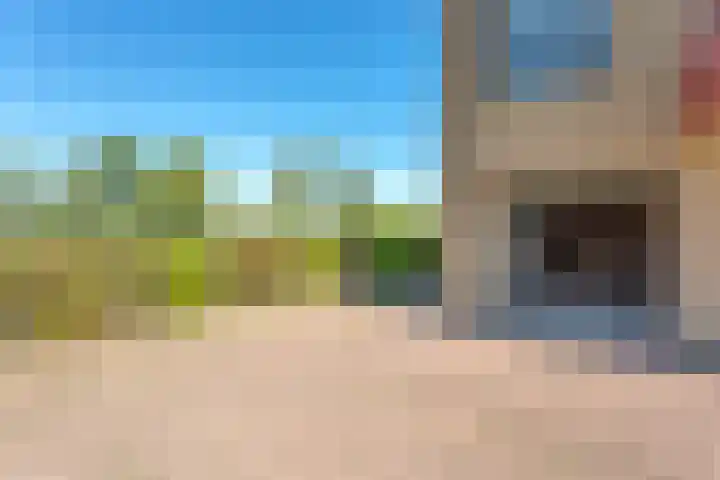 De Lepelaar 16 Elburg thumbnail 43