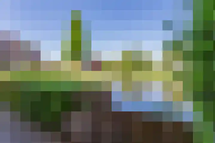 De Lepelaar 16 Elburg thumbnail 48