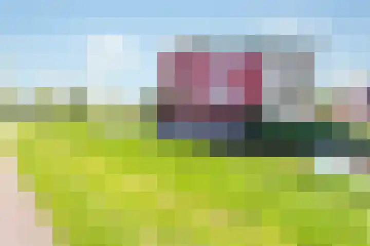 De Lepelaar 16 Elburg thumbnail 50