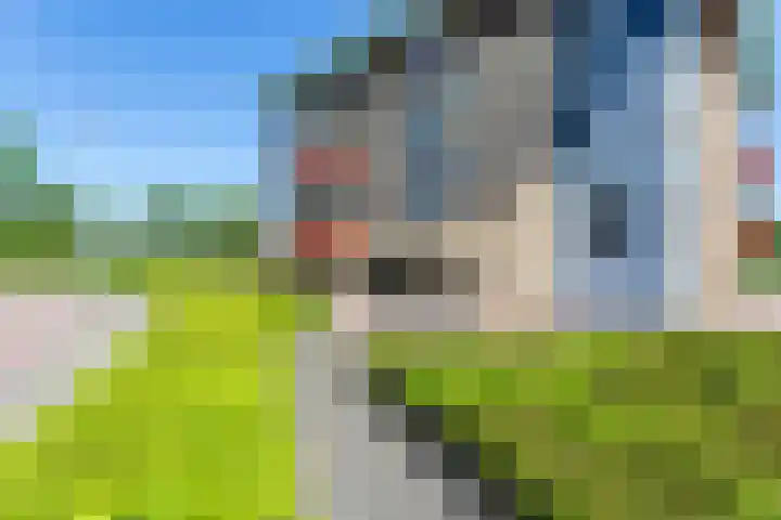 De Lepelaar 16 Elburg thumbnail 52