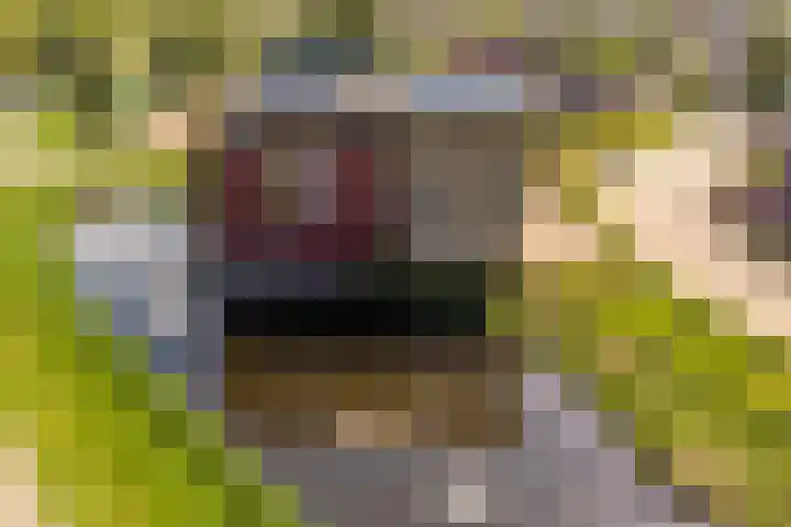 De Lepelaar 16 Elburg thumbnail 55