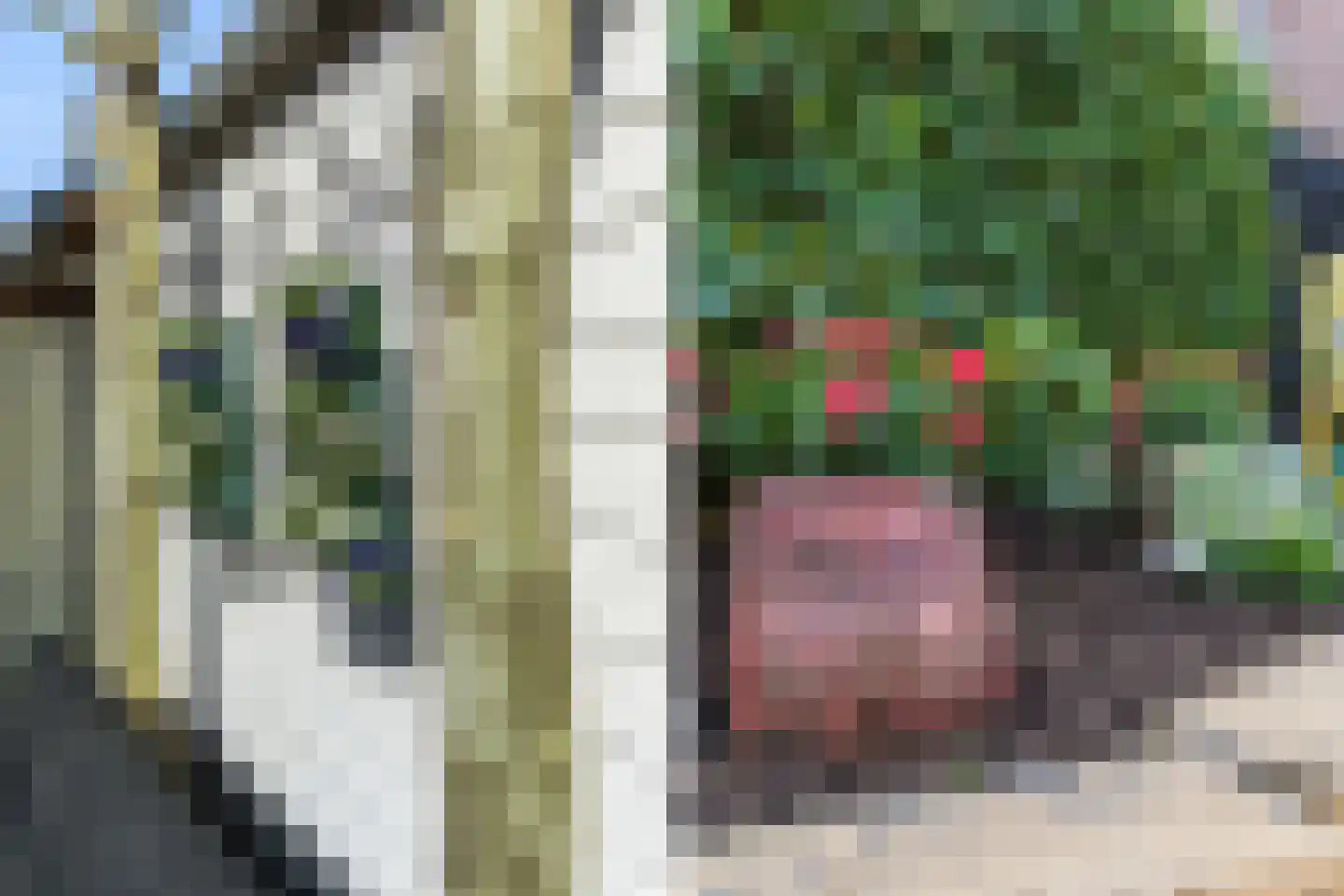 de Lepelaar 17 Moerkapelle thumbnail 16