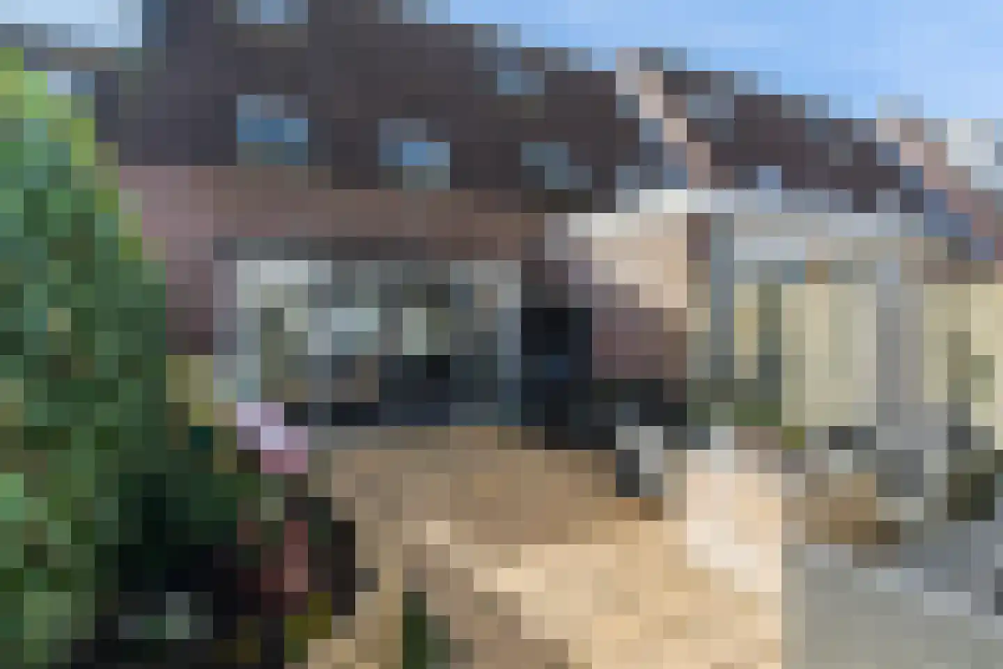 de Lepelaar 17 Moerkapelle thumbnail 17