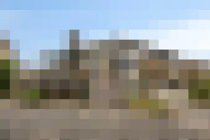 De Lepelaar 22 Dronten