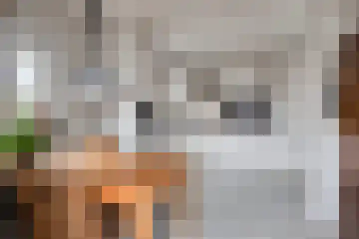 De Lepelaar 22 Dronten thumbnail 12