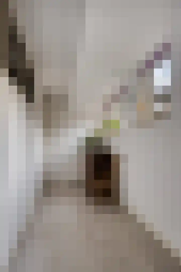 De Lepelaar 22 Dronten thumbnail 20