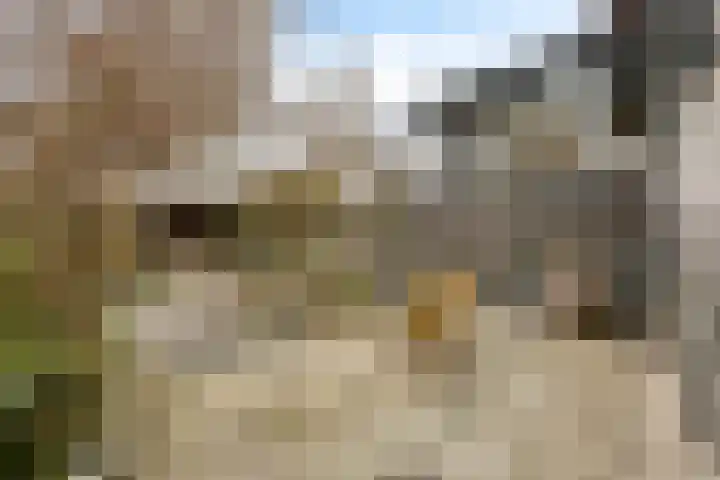 De Lepelaar 22 Dronten thumbnail 31