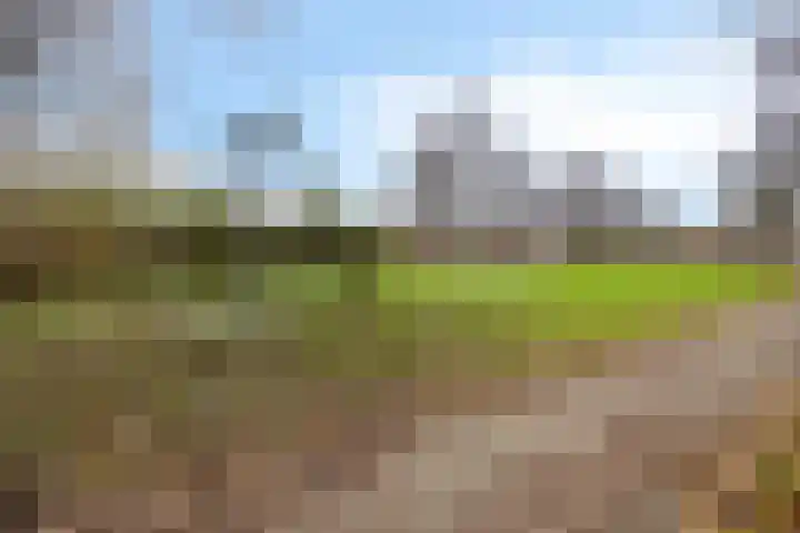 De Lepelaar 22 Dronten thumbnail 45