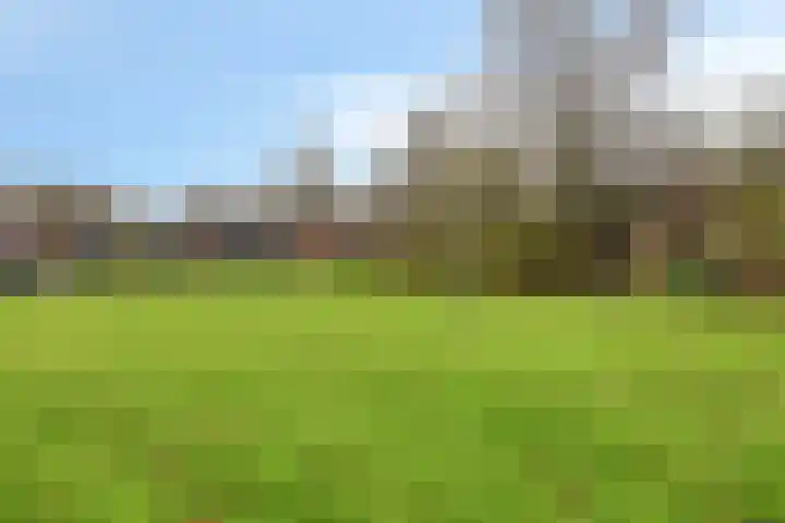 De Lepelaar 22 Dronten thumbnail 46