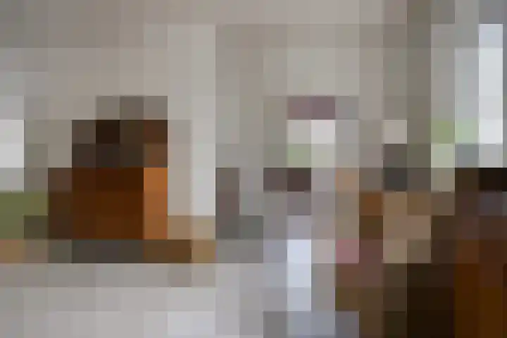 De Lepelaar 22 Dronten thumbnail 8