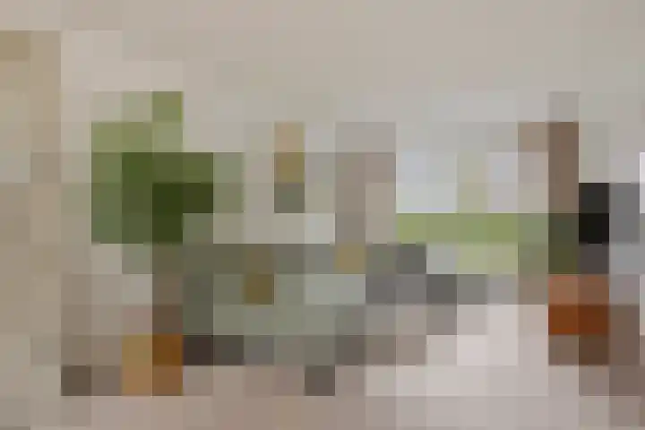 de Lepelaar 23 Sint Pancras thumbnail 10
