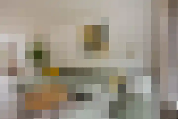 de Lepelaar 23 Sint Pancras thumbnail 11