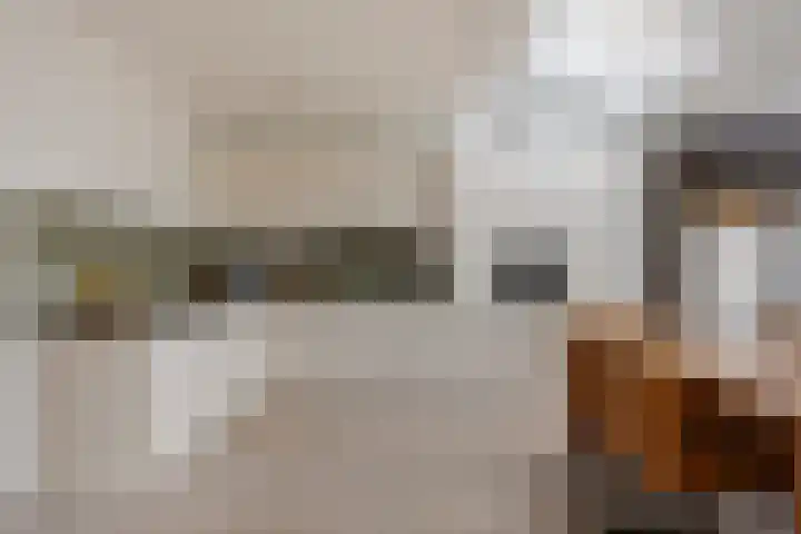 de Lepelaar 23 Sint Pancras thumbnail 14
