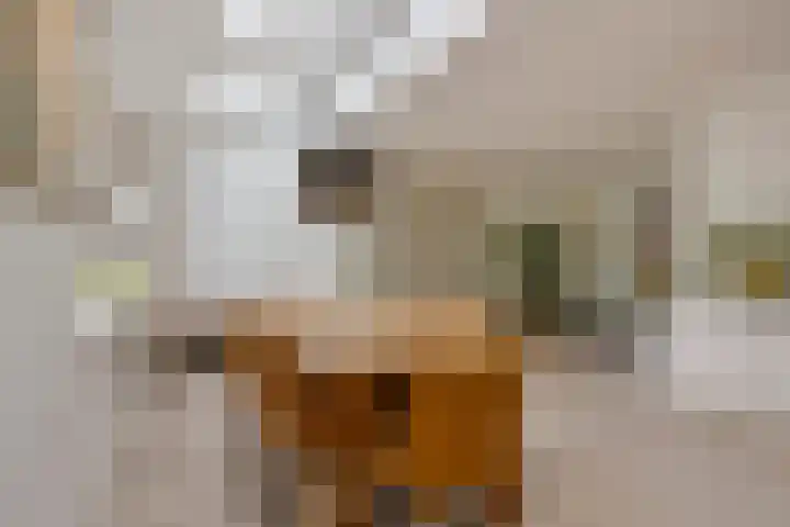 de Lepelaar 23 Sint Pancras thumbnail 17