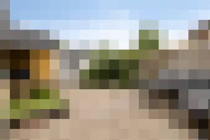 de Lepelaar 23 Sint Pancras thumbnail 20