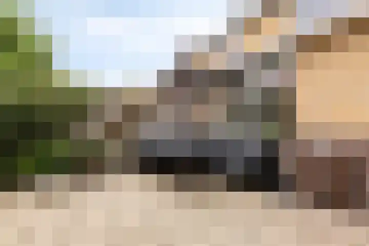 de Lepelaar 23 Sint Pancras thumbnail 21
