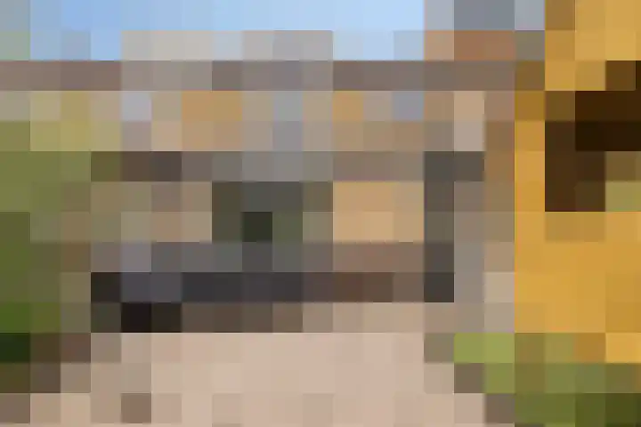 de Lepelaar 23 Sint Pancras thumbnail 22