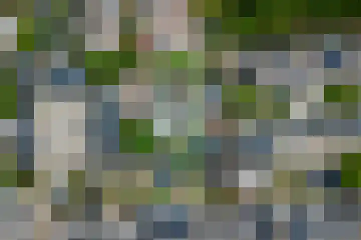 de Lepelaar 23 Sint Pancras thumbnail 23
